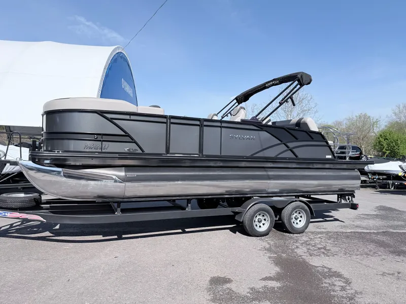 The Image of Sylvan L-3 DLZ 2021 - 1