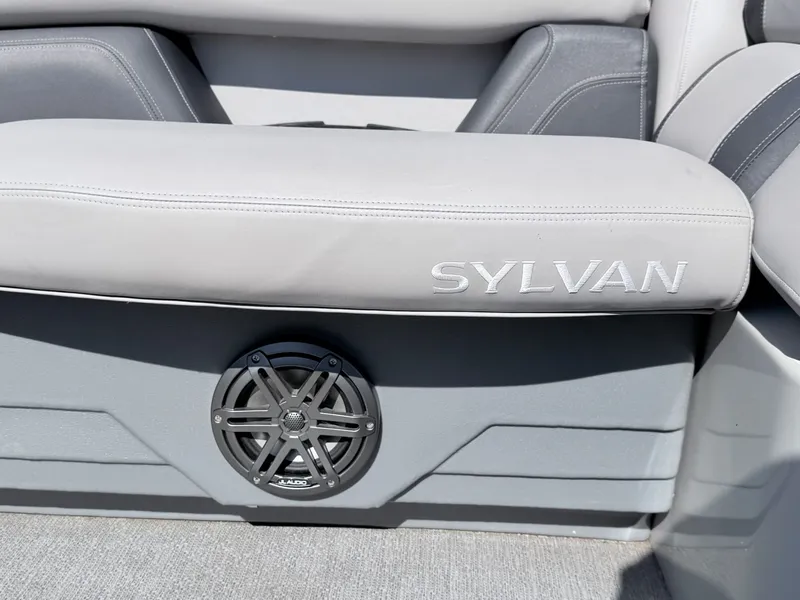 Slide: The Image of Sylvan L-3 DLZ 2021 - 10