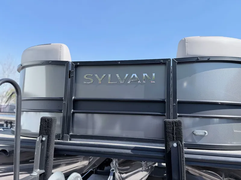 Slide: The Image of Sylvan L-3 DLZ 2021 - 32