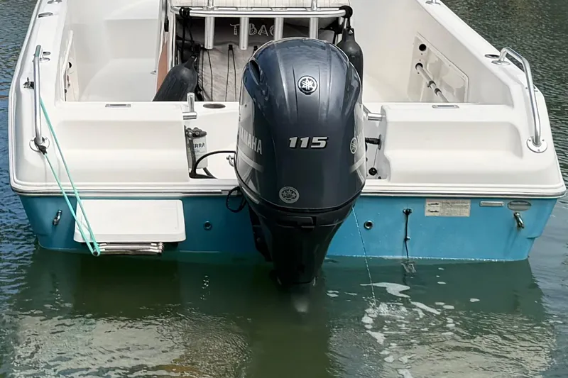 Slide: The Image of Rear view of a 2017 Release 196 RX boat with Yamaha 115 outboard motor. - 8