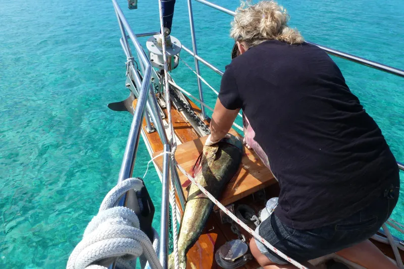 Slide: The Image of Person cleaning fish on Island Packet 37 sailboat, 1995, in clear turquoise water. - 79