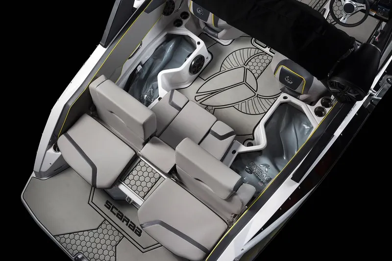 Slide: The Image of Scarab 195 ID 2019 - 12