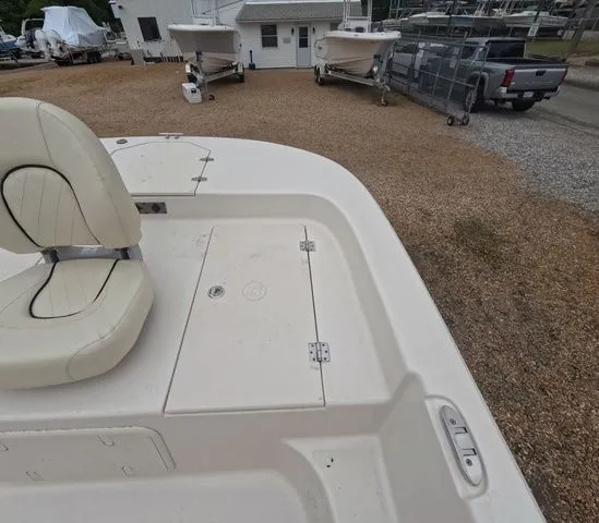 Slide: The Image of Carolina LS Series 19LS 2025 - 19