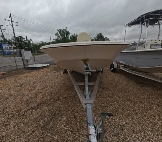 Slide: The Image of Carolina LS Series 19LS 2025 - 4