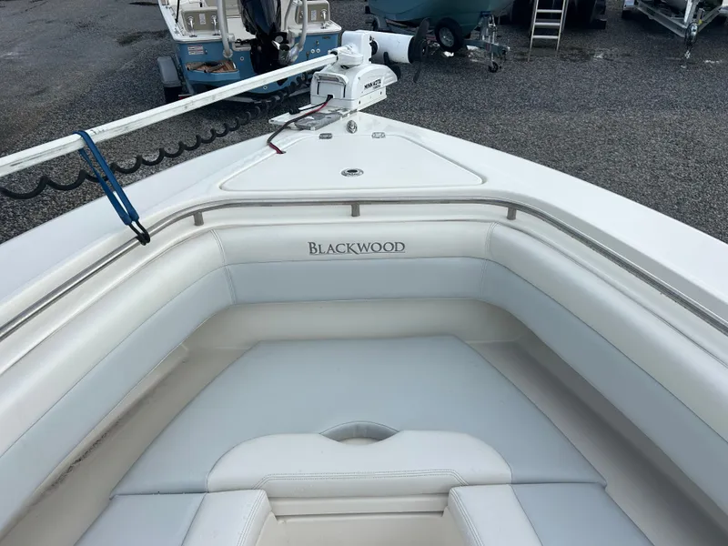 Slide: The Image of Blackwood 27 2021 - 19