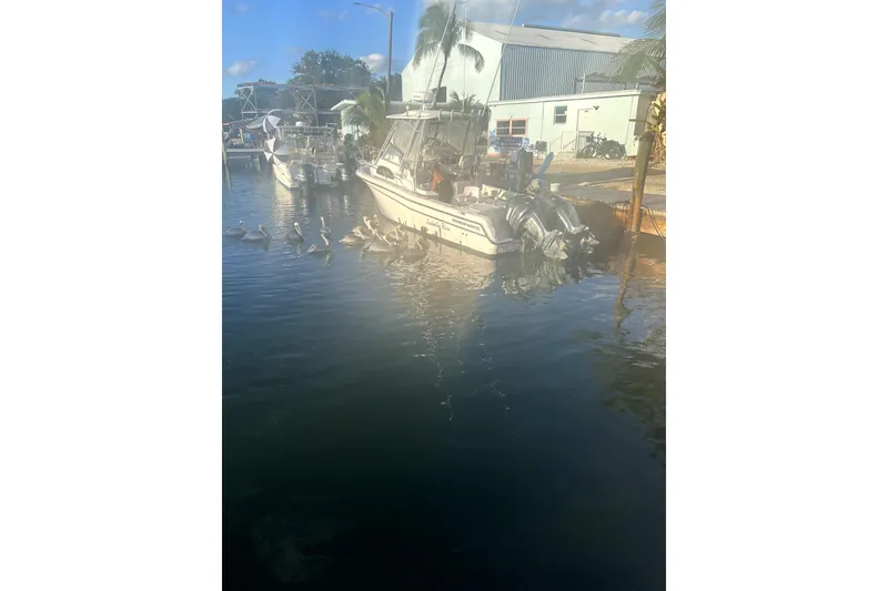 Slide: The Image of 2003 Grady-White Sailfish 282 docked with pelicans nearby, sunny day. - 3