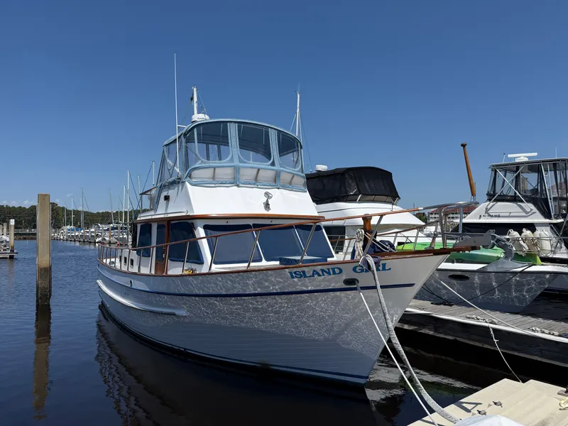 The Image of DeFever 41 1983 - 0