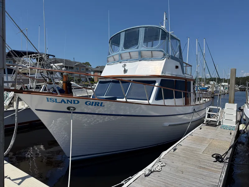 Slide: The Image of DeFever 41 1983 - 2