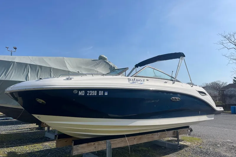 Slide: The Image of 2019 Sea Ray SDX 250 boat on display, blue and white hull, outdoor setting. - 3