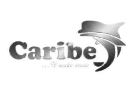Slide: The Image of Caribe L-10 logo with sleek design, 2025 model branding. - 9
