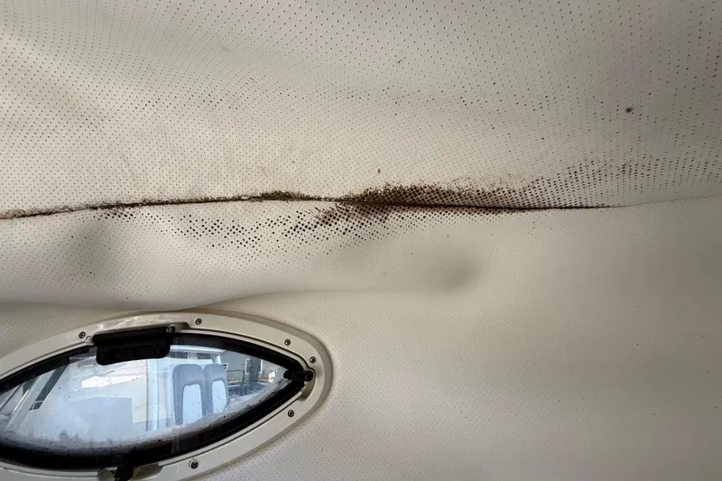 Slide: The Image of Interior ceiling of a 2000 Sport-Craft 241 Walk Around boat showing water damage and mold. - 77