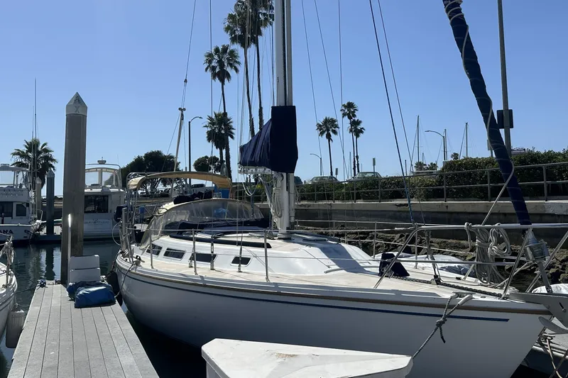 Slide: The Image of 1989 Catalina 36 MkII sailboat docked at marina with palm trees in background. - 2