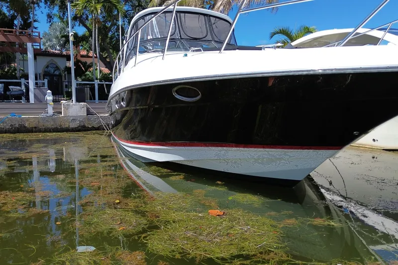 Slide: The Image of 2006 Regal Commodore 3560 IB yacht docked in a marina with clear blue skies. - 5