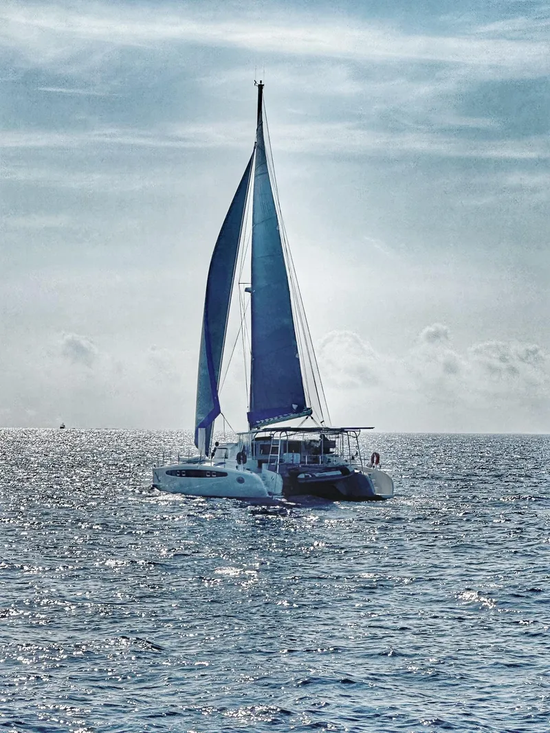 Slide: The Image of Sailing catamaran Dolphin 460, 2007 model, gliding on open sea under blue sky. - 123