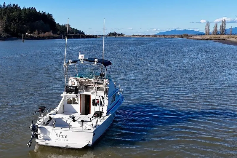 Slide: The Image of 1981 Bertram 28 Flybridge Cruiser on a scenic river with forested shoreline. - 1