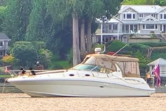 The Image of 2003 Sea Ray 340 Sundancer yacht anchored near waterfront homes, surrounded by lush greenery. - 0
