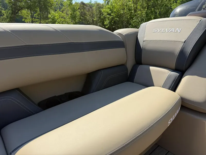 Slide: The Image of Sylvan L-3 Party Fish 2025, luxurious boat seating outdoors. - 34