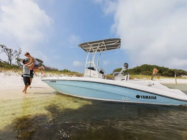 The Image of Yamaha 190 FSH Sport 2018 - 1