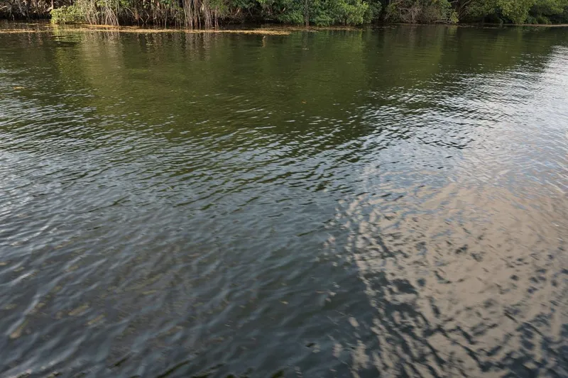 Slide: The Image of Calm river scene with lush greenery, viewed from a 2018 Intrepid 390 Sport Yacht. - 45