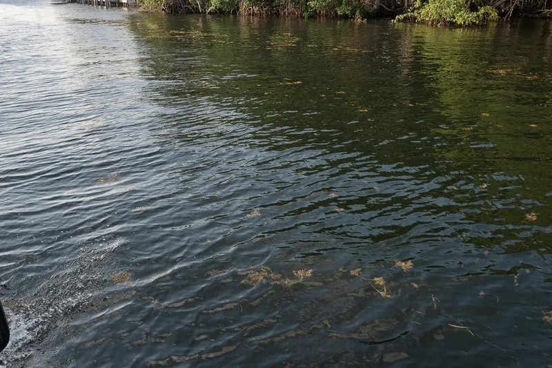 Slide: The Image of Calm water surface near shoreline, viewed from a 2018 Intrepid 390 Sport Yacht. - 53