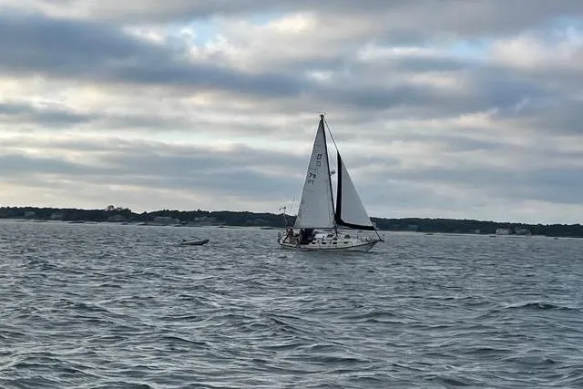 Slide: The Image of Sailboat on open water, Cape Dory Cutter 1985, under cloudy sky. - 25