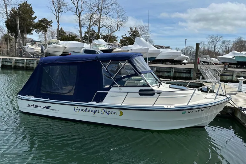 Slide: The Image of 2002 Arima Sea Ranger 21 Hardtop boat docked with blue canopy, named "Goodnight Moon." - 18