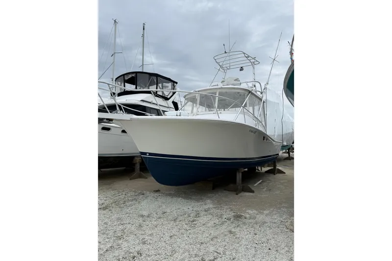 The Image of 1999 Luhrs Tournament 320 Open boat on dry dock, white hull with blue bottom. - 1