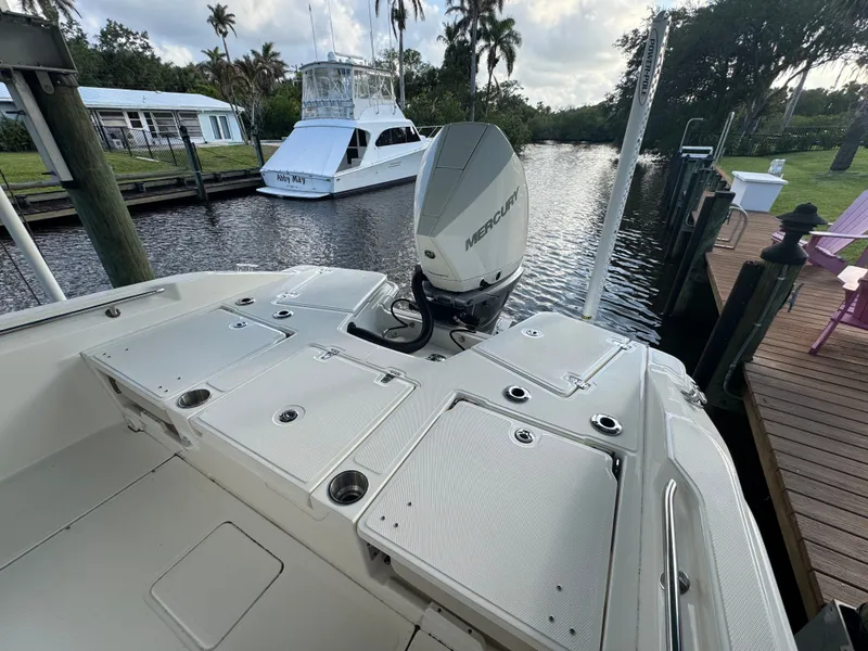 Slide: The Image of Boston Whaler 250 Dauntless 2024 - 12