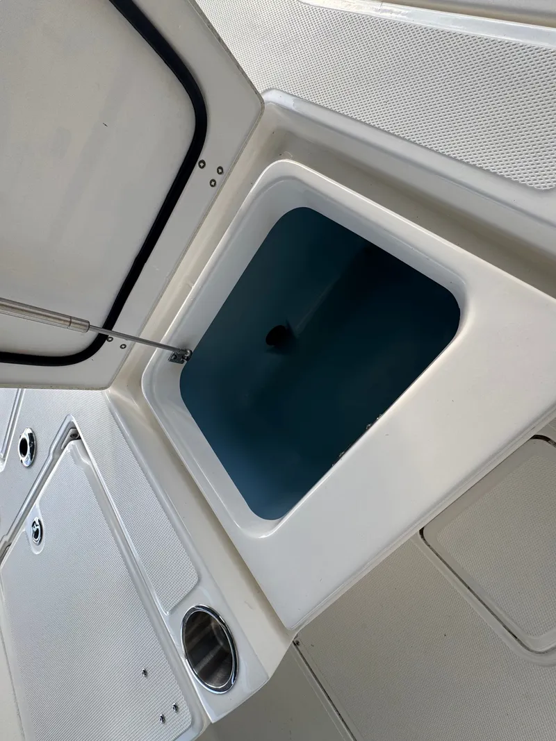 Slide: The Image of Boston Whaler 250 Dauntless 2024 - 13