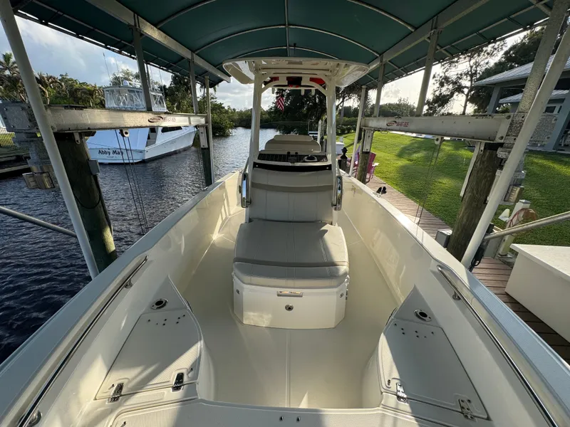 Slide: The Image of Boston Whaler 250 Dauntless 2024 - 31