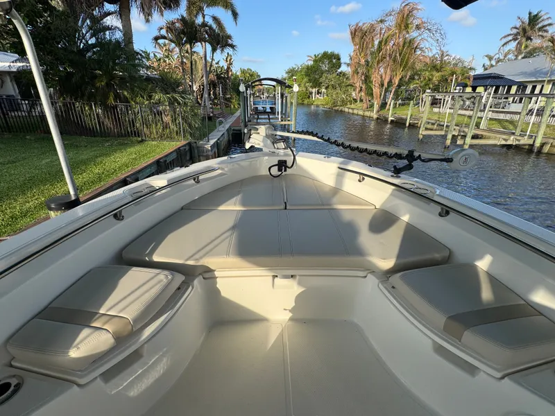 Slide: The Image of Boston Whaler 250 Dauntless 2024 - 34