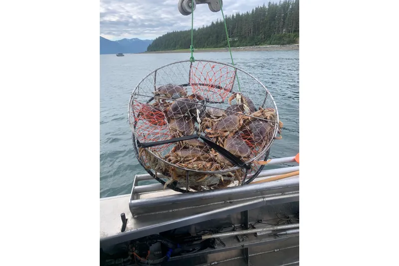 Slide: The Image of Crab trap full of crabs on a Custom Aluminum Crabber boat, 2021, near forested shoreline. - 24