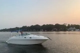 Slide: The Image of 2002 Sea Ray Sundancer 260 cruising on a calm lake at sunset. - 4