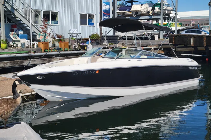 The Image of 2006 Cobalt 250 boat docked at marina with a goose nearby. - 0