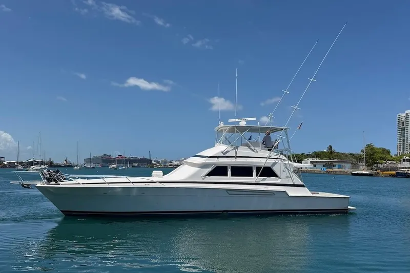The Image of 1995 Bertram 60 Convertible yacht on calm water under clear blue sky. - 0