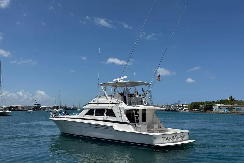 Slide: The Image of 1995 Bertram 60 Convertible yacht cruising in a sunny harbor. - 3