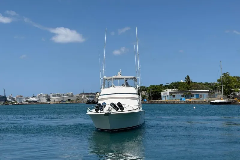 Slide: The Image of 1995 Bertram 60 Convertible yacht on calm water, clear blue sky background. - 9