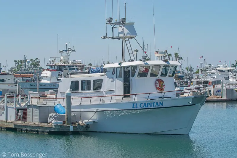 Slide: The Image of 1975 Blanchard Passenger Sportfisher "El Capitan" docked in a busy marina. - 2