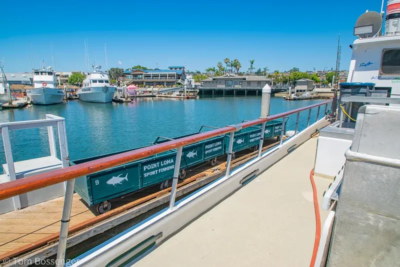 Slide: The Image of Marina view with 1975 Blanchard Passenger Sportfisher, docked boats, and clear blue sky. - 22