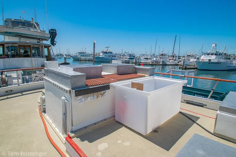 Slide: The Image of 1975 Blanchard Passenger Sportfisher boat docked in a busy marina under clear blue skies. - 27