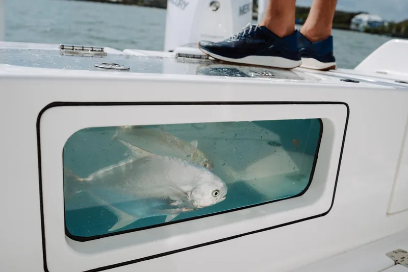 Slide: The Image of Caymas 29 CT 2027 with onboard aquarium and fish. - 14