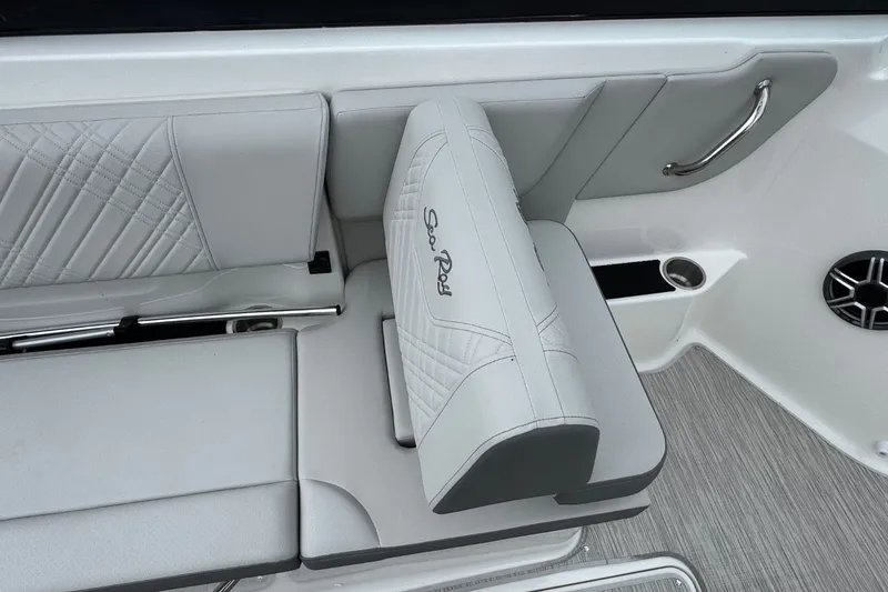 Slide: The Image of Sea Ray SDX 250 2026 - 14