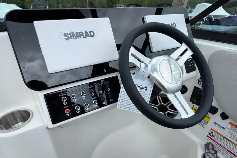 Slide: The Image of Sea Ray SDX 250 2026 - 22