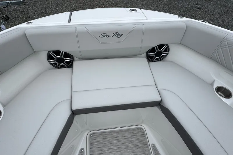 Slide: The Image of Sea Ray SDX 250 2026 - 29