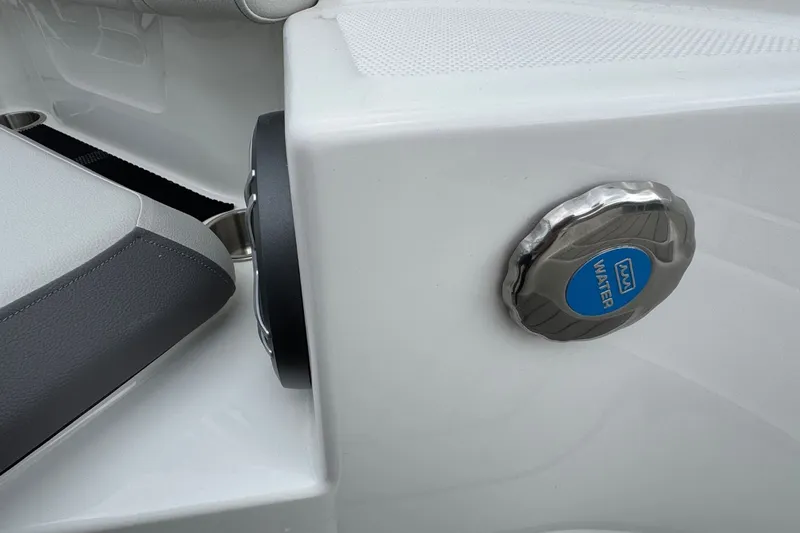Slide: The Image of Sea Ray SDX 250 2026 - 32