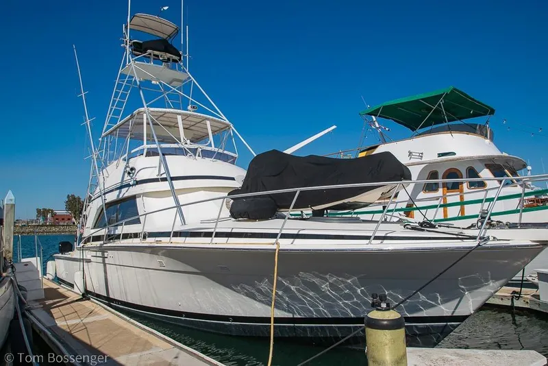 The Image of 1989 Bertram 50 Convertible yacht docked at marina under clear blue sky. - 1