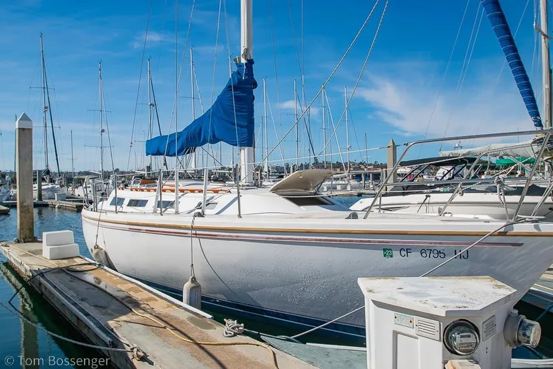The Image of 1987 Catalina 36 sailboat docked at marina under clear blue sky. - 1