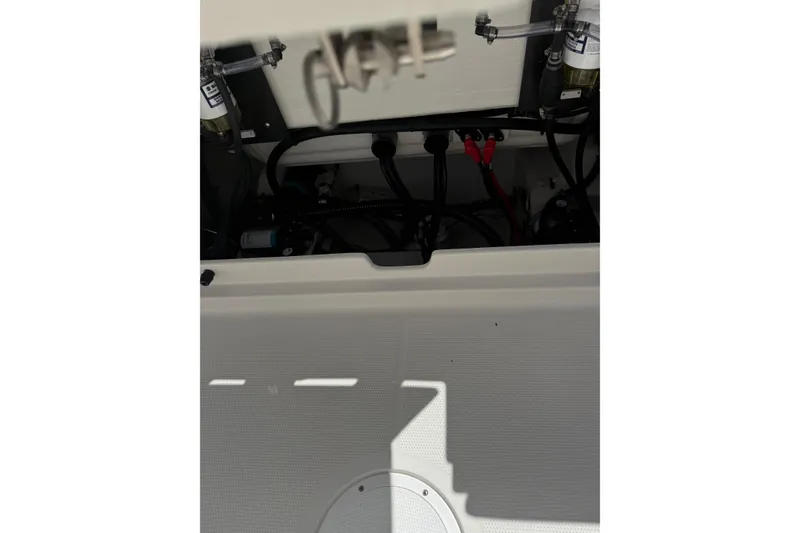 Slide: The Image of Sailfish 272 CC 2026 - 24