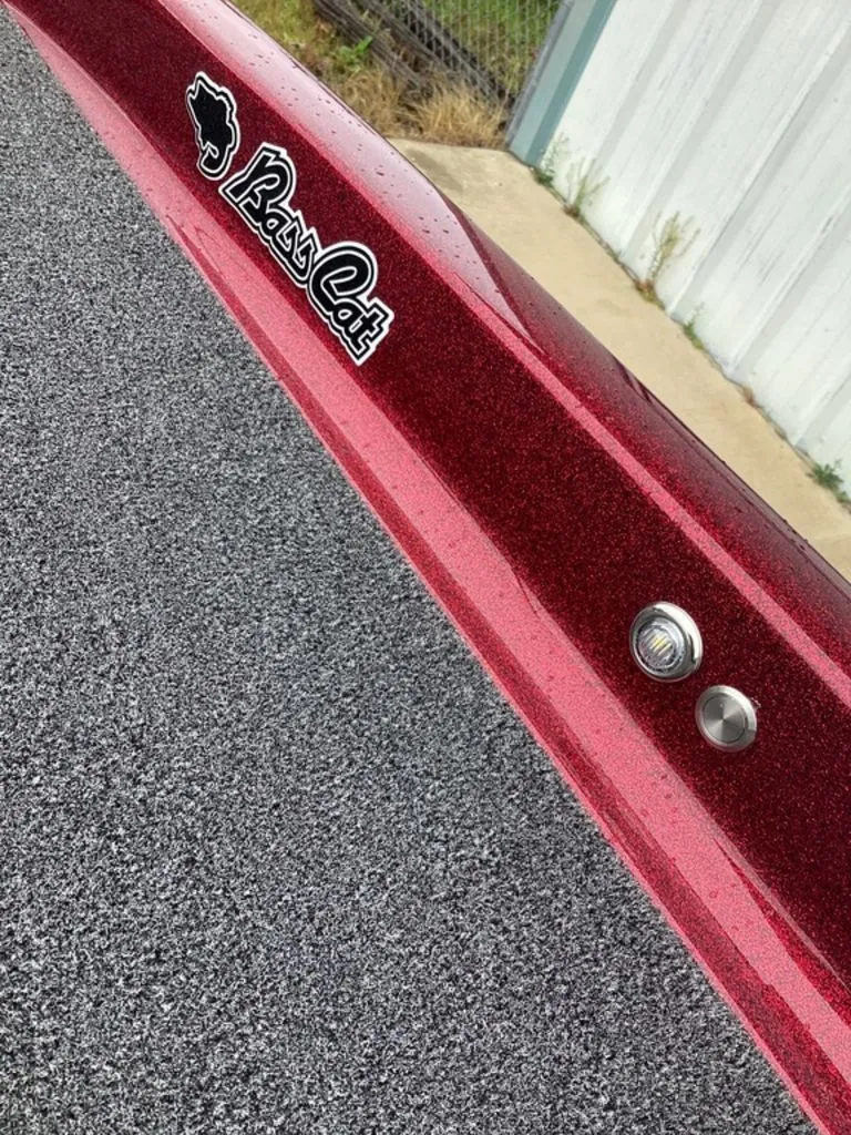 Slide: The Image of Bass Cat Eyra SP 2026 - 52