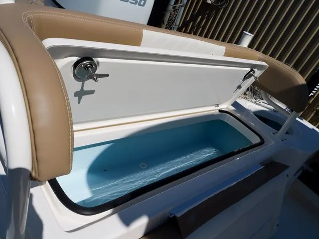 Slide: The Image of Sea Born FX25 LE 2026 - 43